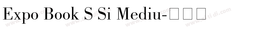 Expo Book S Si Mediu字体转换
